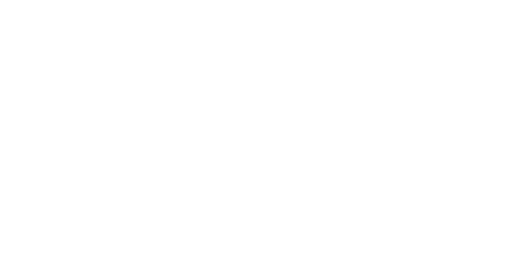 A chave: a cabeça é o empresário, o corpo é a equipe, o segredo são os processos e o giro é a escala